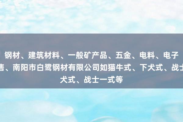 钢材、建筑材料、一般矿产品、五金、电料、电子产品销售、南阳市白鹭钢材有限公司如猫牛式、下犬式、战士一式等